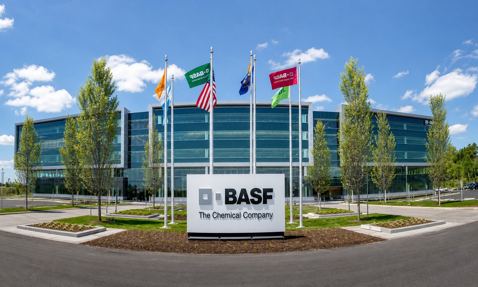 BASF днём